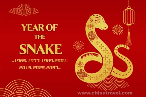 生肖|Chinese Zodiac: 2025 Year of Snake, 12 Animal。